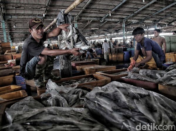 Melihat Aktivitas Pedagang Ikan Tradisional Jelang Relokasi