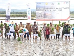 Dorong Produktivitas Petani, BNI Beri Pembiayaan Murah di Pinrang