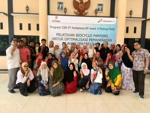 Warga Desa di Gresik Manfaatkan Pekarangan Rumah untuk Berkebun