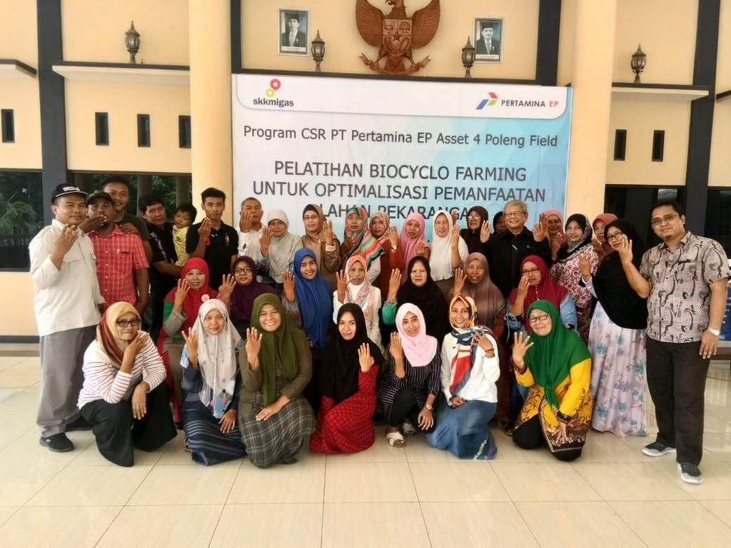 Warga Desa di Gresik Manfaatkan Pekarangan Rumah untuk Berkebun Warga Desa di Gresik Manfaatkan Pekarangan Rumah untuk Berkebun