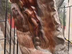 Liburan Imlek di China, Ada Kisah Pohon Naga di Shandong