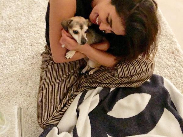 Ini Diana, Anjing Priyanka Chopra yang Gaya Hidupnya Lebih Mewah dari Kamu