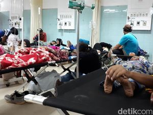 352 Warga Bogor Kena DBD, 8 di Antaranya Meninggal