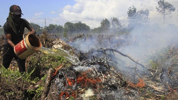 Jokowi soal Kebakaran Hutan: Bisa Kita Atasi, Bukan Tidak Ada