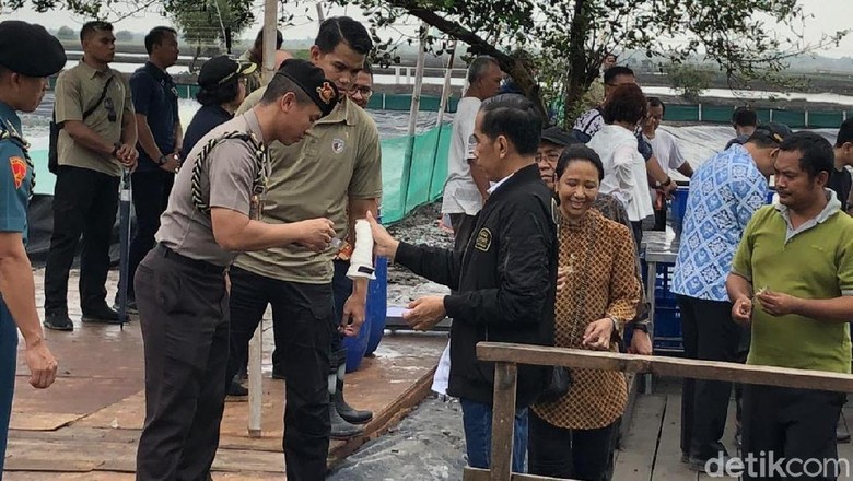 Detik-detik Jokowi Berdarah Kena Patil Udang yang Tiba-tiba Loncat