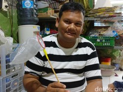 Cerita Peternak Cupang Jadi Jumantik Dadakan di Musim Hujan