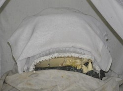 Telur Ajaib, Simbol Toleransi Raja Ampat