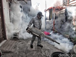 Penderita DBD di Jombang Melejit, Biaya Fogging Dibebankan ke Warga