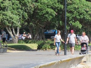 Dilarang Ngebut di Pantai Selandia Baru, Cuma Boleh Jalan 20 Km per Jam Dilarang Ngebut di Pantai Selandia Baru, Cuma Boleh Jalan 20 Km per Jam