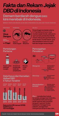 Menkes Minta Pemda Siaga DBD, Kasus Purwakarta Jadi Alarm