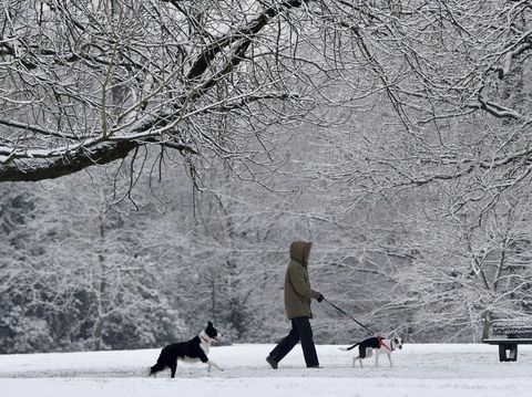 12 Cara Usir Bosan di Rumah Saat Pandemi Corona Sesuai Zodiak Kamu