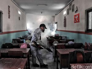 32 Meninggal akibat DBD di NTT, Ini Penyebab Angka Kematian Begitu Tinggi