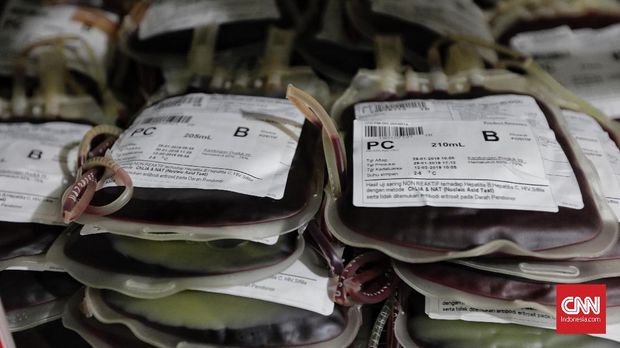 Petugas menunjukan stok trombosit di Laboratorium Unit Transfusi Darah (UTD) PMI DKI Jakarta, 31 Januari 2019. Ketua Bidang Unit Donor Darah PMI Dr Linda Lukitasari Waseso menyatakan kesiapan stok darah PMI untuk menghadapi wabah Demam Berdarah. CNN Indonesia/Adhi Wicaksono