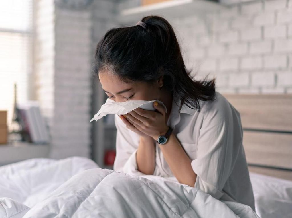 Virus Flu Biasa Disebut Bisa Beri Perlindungan Terhadap COVID-19 Virus Flu Biasa Disebut Bisa Beri Perlindungan Terhadap COVID-19