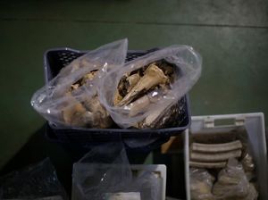 Ada Makam Kuno dan Tulang Manusia Berusia Ribuan Tahun di Bawah Restoran Ini Ada Makam Kuno dan Tulang Manusia Berusia Ribuan Tahun di Bawah Restoran Ini