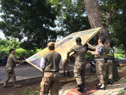 Atribut Caleg Penghuni Pohon Dicopot Satpol PP Banjar