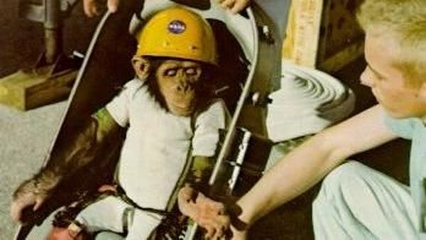 Ham, Pendahulu Yuri Gagarin dan Neil Armstrong di Luar Angkasa