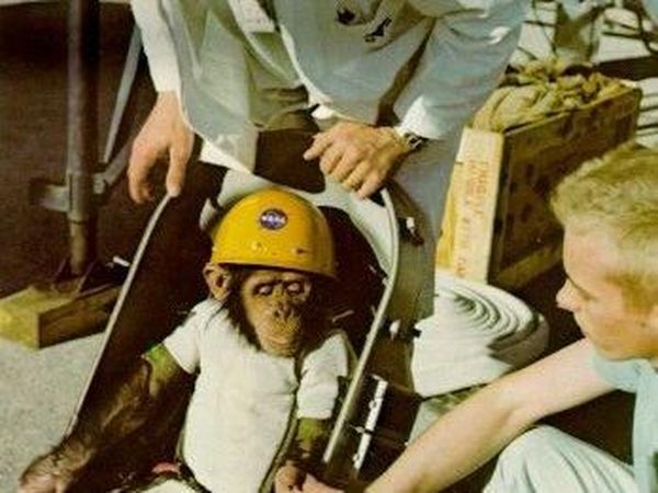 Ham, Pendahulu Yuri Gagarin dan Neil Armstrong di Luar Angkasa