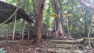 Potret Hutan di Banjar yang Lekat Nuansa Mistis