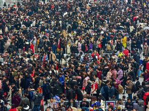 Kasihan, Peternak Babi di China Tidak Bisa Imlekan