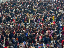 Kasihan, Peternak Babi di China Tidak Bisa Imlekan