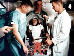 Mengingat Ham, Simpanse Pertama di Luar Angkasa