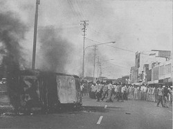 Pendiri Golkar yang Melawan Presiden Soeharto