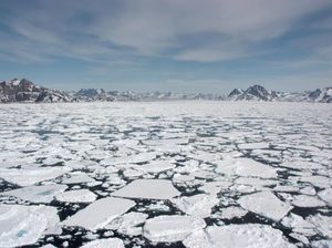 Gelombang Panas Ancam Lelehkan Miliaran Ton Es di Greenland