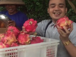 Waduh! Incess Lubis alias Fahrit Mufama Makan Buah Naga dan Kulitnya