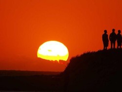 Januari 2019 Tercatat Jadi Bulan Terpanas di Australia