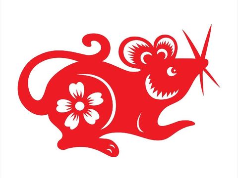 4 Shio yang Diprediksi Kurang Beruntung di Tahun 2020, Kuda Paling Sial