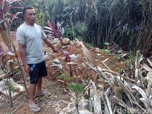 Nek Bisem yang Tali Pocongnya Raib Misterius Sudah Setahun Meninggal Nek Bisem yang Tali Pocongnya Raib Misterius Sudah Setahun Meninggal
