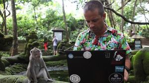 Potret Kehidupan Perantau Digital Asing di Bali