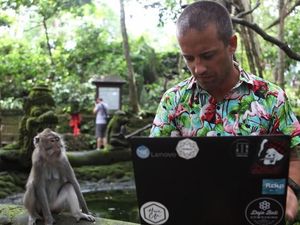 Sisi Lain Bali, Jadi Kantor Jarak Jauh Turis