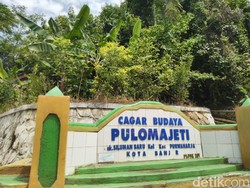 Kisah Mistis dari Hutan Pulo Majeti di Banjar