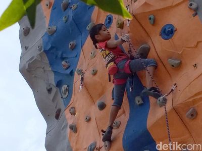 Kenalan dengan Balqis Si Laba-laba Kecil dari Bandung