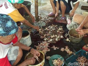 Profesi Unik, Menyulap Katak Jadi Sumber Rupiah