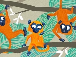 Monyet Murung di Lereng Gunung