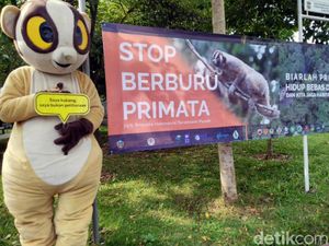 Serunya Edukasi Primata di Taman Hutan Kota