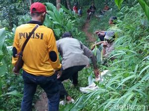 Pamit Ambil Durian, Warga Purworejo Hilang di Hutan