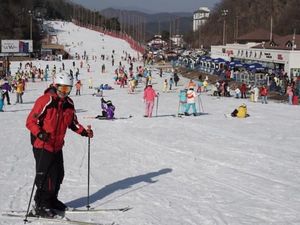 Main Ski di Negeri Ginseng, Seru!