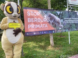 Animal Rescue Edukasi Pelajar Ciamis Cegah Peburuan Primata