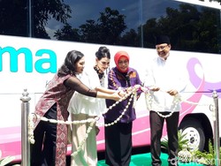 Istri Gus Ipul Ingatkan Pentingnya Deteksi Kanker sejak Dini