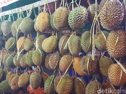 Kelezatan Durian Potianak Bikin Lidah Bergoyang Ketagihan