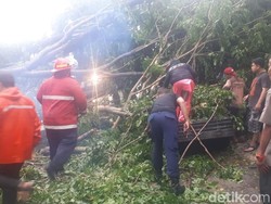 Diterjang Hujan Berangin, Pohon Tumbang Timpa Mobil dan Bangunan di Solo
