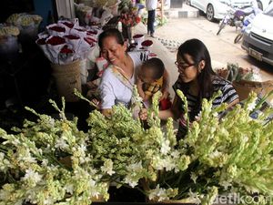 Laris Manis Bunga Sedap Malam Jelang Imlek