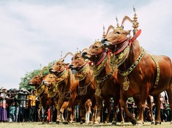 Berkelana di Tanah Madura