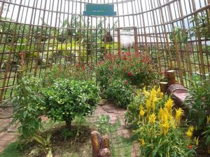 Ini Satu-satunya Agrowisata di Magetan