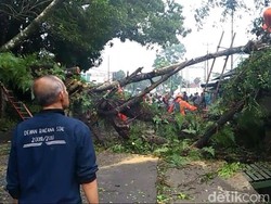 Pohon Tumbang, Jalan Kota Tasikmalaya Menuju Singaparna Terputus