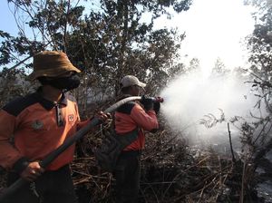 Potret Perjuangan Pemadaman Api di Kebakaran Hutan Dumai